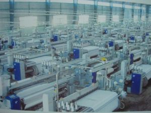 天然纺织原料 轻纺工业的绿色根基